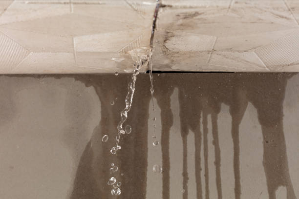 Professional Water Extraction technician working in Burbank, SD